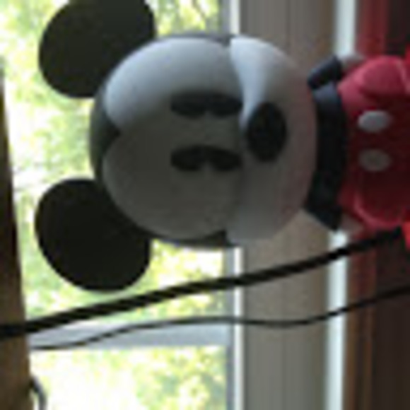 Meet your Posher, Collin - Picture 1 of 1